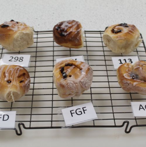 A Level Students Solve Food Production Problems for the Chelsea Bun