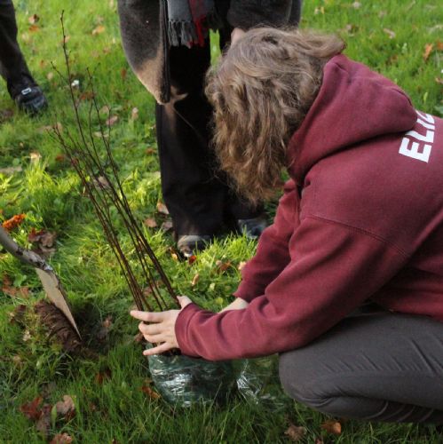 Green Team: Woodland Trust Donation